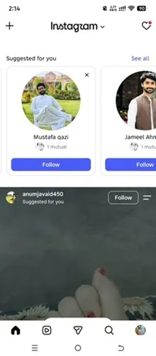 Instagram Feed Preview